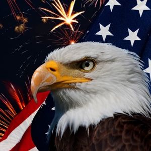 Meet your Posher, Bruce